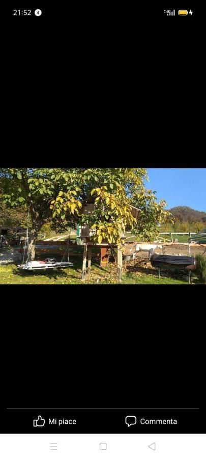 B&B In Fattoria Berzo San Fermo ภายนอก รูปภาพ